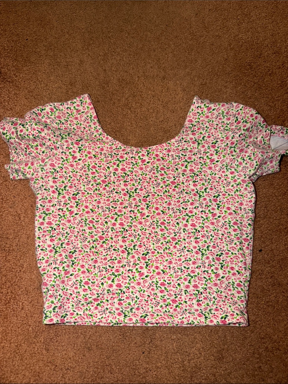 Floral Crop Top with Pink and Green Rose Print